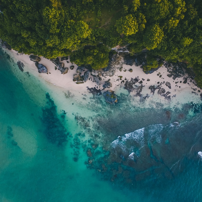 birds-eye view of the coast