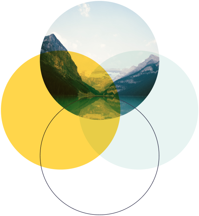 circular graphic